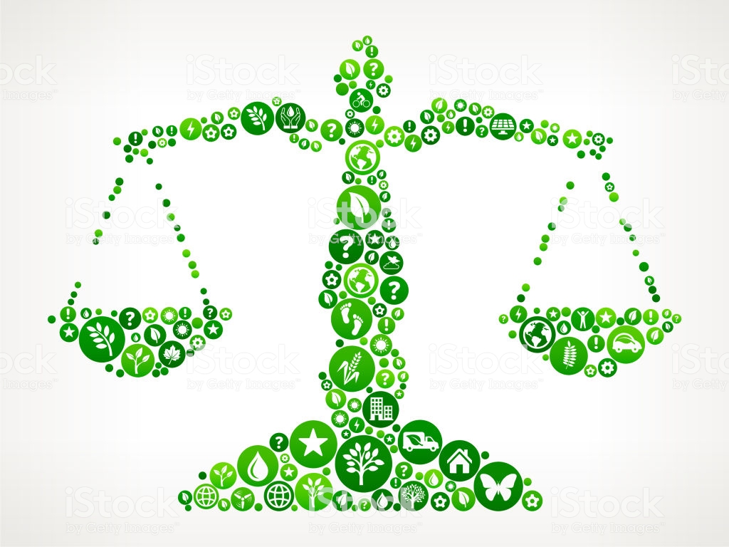 the-basic-principles-of-environmental-law-calr